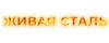 Логотип эксперта Живая Сталь