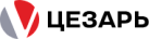 Логотип эксперта Цезарь