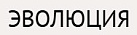 Логотип эксперта Эволюция