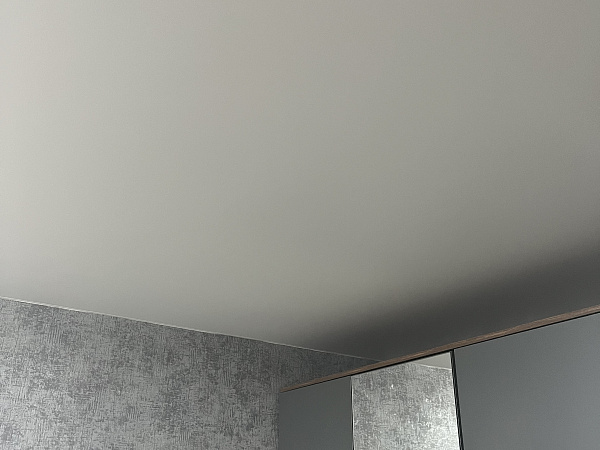 Натяжной потолок для гостиной фото 6