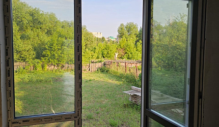 Окно с встроенной дверью для выхода на улицу фото