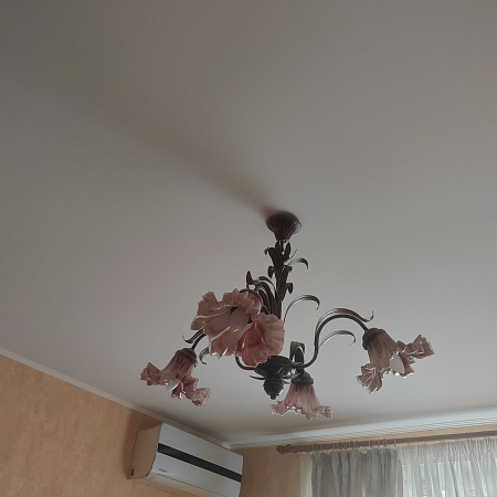 Реализовали потолок в гостиной с использованием матового полотна MSD-Classic фото 1