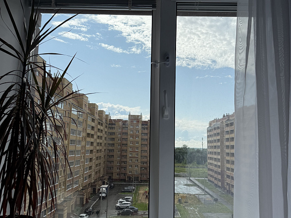 Окна Krauss с мультифункциональным стеклопакетом и тонировкой фото 5