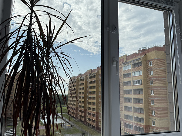 Окна Krauss с мультифункциональным стеклопакетом и тонировкой фото 2