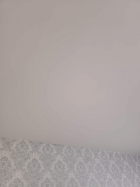 Бесшовный матовый потолок в жилую комнату фото 2