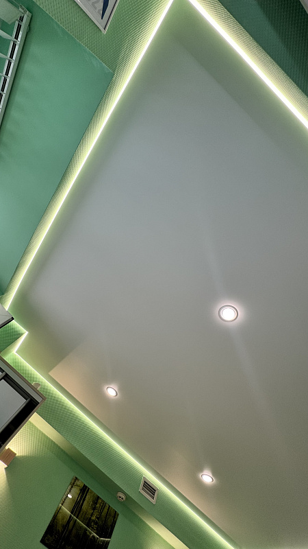 Натяжной потолок с профилем VISP BLACK 241 фото 4