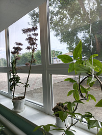 Установили витражные окна Reynaers в музыкальной школе (витражный фасад) фото 2