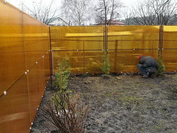 Забор комбинированный - ковка с теневым поликарбонатом фото 2