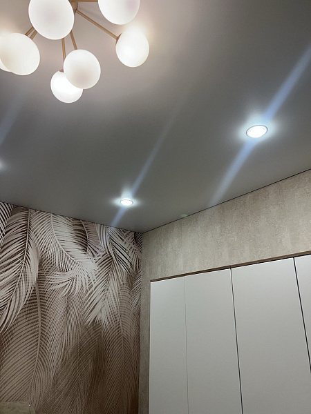 Одноуровневый матовый потолок в гостиной  фото 3