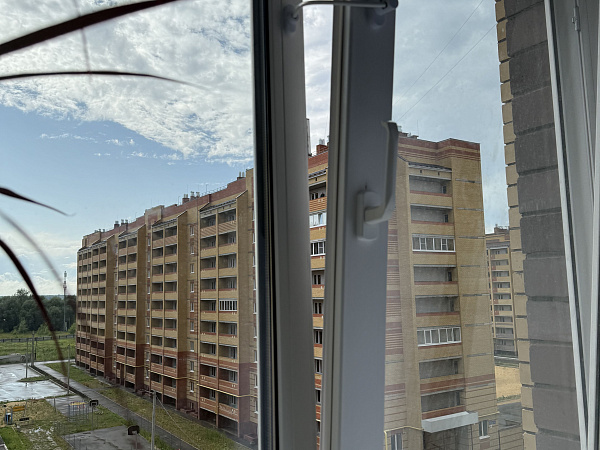 Окна Krauss с мультифункциональным стеклопакетом и тонировкой фото 4