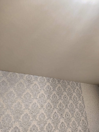 Бесшовный матовый потолок в жилую комнату фото 6