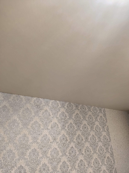 Бесшовный матовый потолок в жилую комнату фото 6