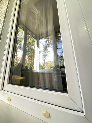 Окна Aluplast с акцентом на противовзломные механизмы фото 4