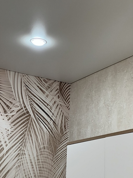 Одноуровневый матовый потолок в гостиной  фото 6